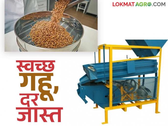 Latest News Gahu Kadhani Clean wheat with machine after harvesting, get good price, read in detail | Gahu Kadhani : गहू काढणीनंतर 'या' मशीनने स्वच्छ करा, चांगला भाव मिळेल, वाचा सविस्तर  Latest News Gahu Kadhani Clean wheat with machine after harvesting, get good price, read in detail | Gahu Kadhani : गहू काढणीनंतर 'या' मशीनने स्वच्छ करा, चांगला भाव मिळेल, वाचा सविस्तर