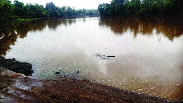 Water supply to Wada city | वाडा शहराला दूषित पाणीपुरवठा