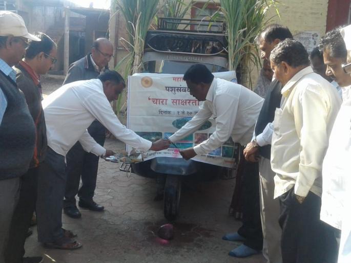 Fodder Literacy Campaign at Wadi in Pachora taluka | पाचोरा तालुक्यातील वाडी येथे चारा साक्षरता अभियान Fodder Literacy Campaign at Wadi in Pachora taluka | पाचोरा तालुक्यातील वाडी येथे चारा साक्षरता अभियान