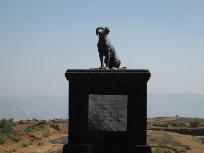 "Don't touch the tomb of the tiger and dog at Raigad", this leader challenged Sambhajiraje Chhatrapati | "रायगडावरील वाघ्या कुत्र्याच्या समाधीला हात लावू नका’’, या नेत्याने संभाजीराजे छत्रपती यांना दिलं आव्हान   "Don't touch the tomb of the tiger and dog at Raigad", this leader challenged Sambhajiraje Chhatrapati | "रायगडावरील वाघ्या कुत्र्याच्या समाधीला हात लावू नका’’, या नेत्याने संभाजीराजे छत्रपती यांना दिलं आव्हान