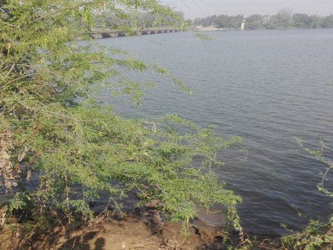 Bhandara : couple suicide by taking a jump in the Wainganga River | वैनगंगा नदीत उडी घेऊन प्रेमीयुगुलाची आत्महत्या Bhandara : couple suicide by taking a jump in the Wainganga River | वैनगंगा नदीत उडी घेऊन प्रेमीयुगुलाची आत्महत्या