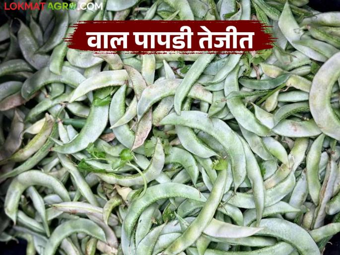 Vegetable market prices increased in Manchar Market Committee; Papadi, Walvad got the highest price | मंचर बाजार समितीत भाजीपाला बाजारभाव वाढले; पापडी, वालवडला मिळाला सर्वाधिक दर