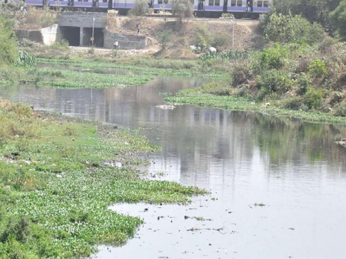 The Waldhuni river was shifted locally for cleanliness | वालधुनी नदी स्वच्छतेसाठी स्थानिक सरसावले The Waldhuni river was shifted locally for cleanliness | वालधुनी नदी स्वच्छतेसाठी स्थानिक सरसावले