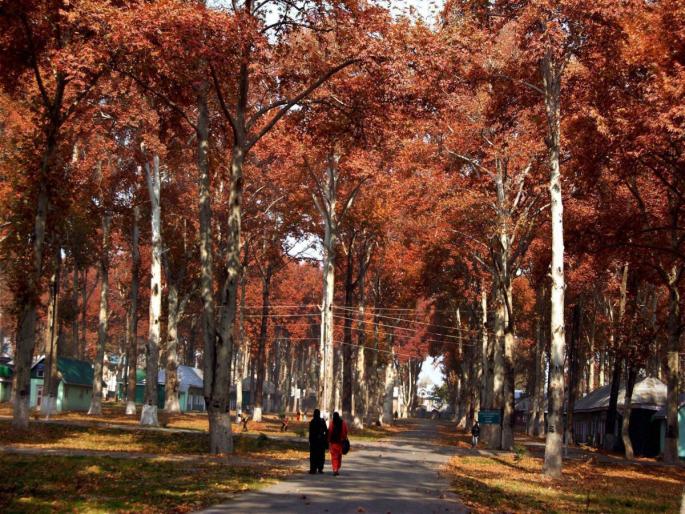 Did you ever experience Life while walking? | चालतानाचं जगणं अनुभवलंय कधी? Did you ever experience Life while walking? | चालतानाचं जगणं अनुभवलंय कधी?
