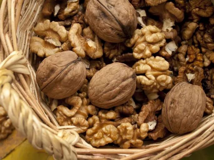 walnut or acorod is extremely beneficial for health | मानवी मेंदुप्रमाणे दिसणारा हा सुकामेवा, फायदे ऐकल्यावर रोजच खाल! गंभीर आजार राहतील दूर walnut or acorod is extremely beneficial for health | मानवी मेंदुप्रमाणे दिसणारा हा सुकामेवा, फायदे ऐकल्यावर रोजच खाल! गंभीर आजार राहतील दूर