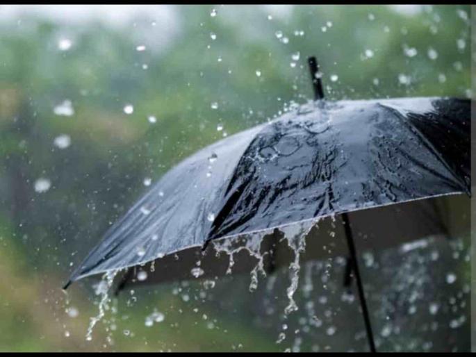 Half a century of rain in Valpai Centre, Yellow alert in the state till July 8 | वाळपई केंद्रात पावसाचे अर्धशतक, ८ जुलै पर्यंत राज्यात यलो अलर्ट Half a century of rain in Valpai Centre, Yellow alert in the state till July 8 | वाळपई केंद्रात पावसाचे अर्धशतक, ८ जुलै पर्यंत राज्यात यलो अलर्ट