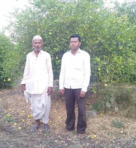 A half brother firm friendship; An income of four lakhs taken in two and a half acres | सख्खा भाऊ पक्की मैत्री; अडीच एकरांत घेतले चार लाखांचे उत्पन्न A half brother firm friendship; An income of four lakhs taken in two and a half acres | सख्खा भाऊ पक्की मैत्री; अडीच एकरांत घेतले चार लाखांचे उत्पन्न