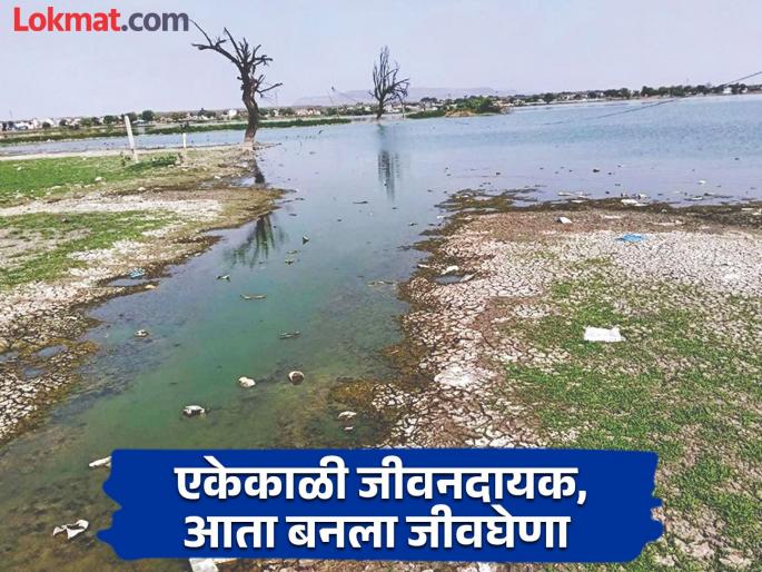 The condition of Pardeshwadi lake in Waluj is alarming; Unfit for drinking and irrigation purposes | वाळूजच्या परदेशवाडी तलावाची स्थिती चिंताजनक; पाणी पिण्यासह वापरण्यास व सिंचनास अयोग्य