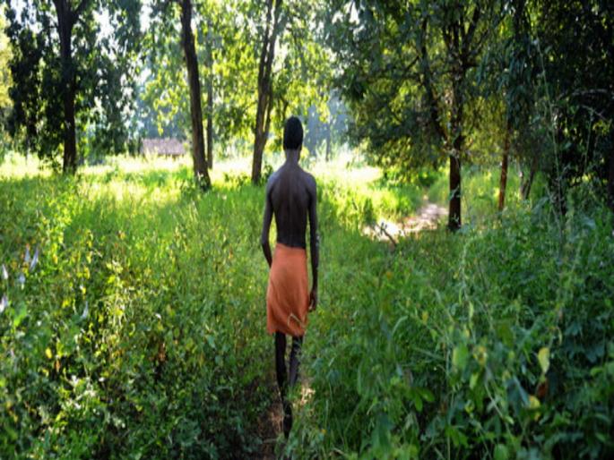 'Self-reliant', 'rich' people in India; Treasure of 8,000 medicinal plants to 'tribals' | 'आत्मनिर्भर' भारतातली 'श्रीमंत' माणसं ; 8 हजार औषधी वनस्पतींचा 'आदिवासीं'कडे खजिना