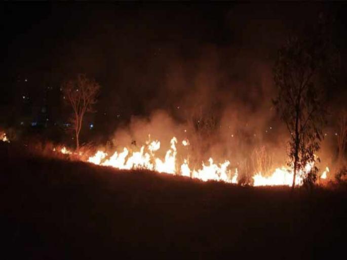 The forest department will now patrol to monitor the forest fire ; Forest officials from the forest will participate | वणव्यावर लक्ष ठेवण्यासाठी आता वन विभागाच गस्त घालणार; वनपालापासून वन अधिकारी सहभागी असणार The forest department will now patrol to monitor the forest fire ; Forest officials from the forest will participate | वणव्यावर लक्ष ठेवण्यासाठी आता वन विभागाच गस्त घालणार; वनपालापासून वन अधिकारी सहभागी असणार