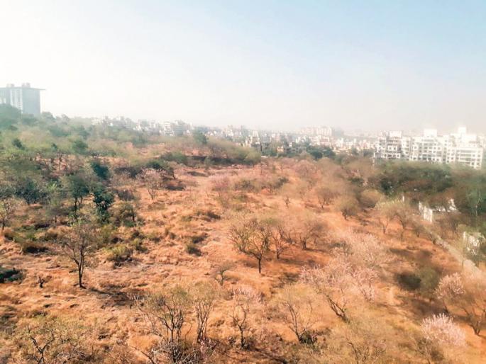 Forbidden to walk on the hill; Decision of Wanowrie forest division, unwilling citizens | टेकडीवर फिरण्यास मनाई; वानवडी वनविभागाचा निर्णय, नागरिकांमध्ये नाराजी Forbidden to walk on the hill; Decision of Wanowrie forest division, unwilling citizens | टेकडीवर फिरण्यास मनाई; वानवडी वनविभागाचा निर्णय, नागरिकांमध्ये नाराजी