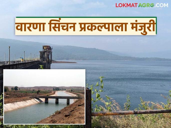 16 thousand hectares in Sangli and Kolhapur districts will come under irrigation; State government approves 'this' project | सांगली व कोल्हापूर जिल्ह्यातील १६ हजार हेक्टर सिंचनाखाली येणार; राज्य सरकारची 'या' प्रकल्पाला मंजुरी 16 thousand hectares in Sangli and Kolhapur districts will come under irrigation; State government approves 'this' project | सांगली व कोल्हापूर जिल्ह्यातील १६ हजार हेक्टर सिंचनाखाली येणार; राज्य सरकारची 'या' प्रकल्पाला मंजुरी