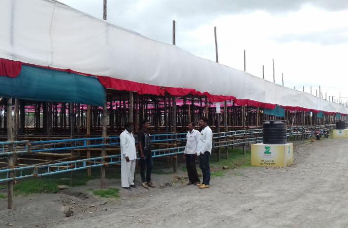 Ashadhi Vari Sohala; 1.5 lakh devotees to be built in the Darshan queue | आषाढी वारी सोहळा ; दर्शन रांगेत उभारतील दीड लाख भाविक Ashadhi Vari Sohala; 1.5 lakh devotees to be built in the Darshan queue | आषाढी वारी सोहळा ; दर्शन रांगेत उभारतील दीड लाख भाविक