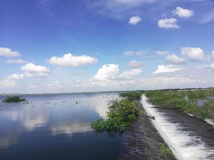 The arrival of foreign birds due to climate change is delayed | हवामान बदलामुळे परदेशी पक्ष्यांचे आगमन लांबणीवर The arrival of foreign birds due to climate change is delayed | हवामान बदलामुळे परदेशी पक्ष्यांचे आगमन लांबणीवर