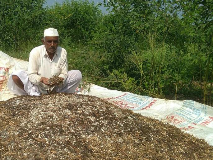 Allow to commit suicide! - Demand of Farmer's son | सहपरिवार आत्महत्या करण्याची परवानगी द्या! - शेतकऱ्याची राज्यपालांकडे मागणी  