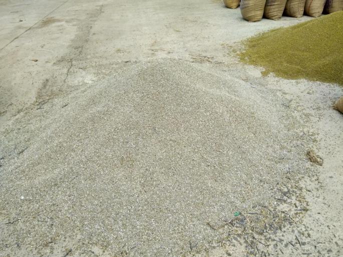 due to heavy rain in august Decrease the quality of the agriculture product | आॅगस्टमधील अतिपावसाचा फटका; शेतमालाचा दर्जा खालावला due to heavy rain in august Decrease the quality of the agriculture product | आॅगस्टमधील अतिपावसाचा फटका; शेतमालाचा दर्जा खालावला