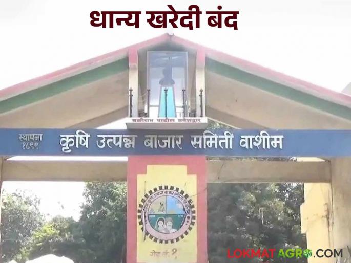 Washim Bazaar Samiti: latest news Why was the purchase of grain in 'this' market committee stopped? Read in detail | Washim Bajar samiti: 'या' बाजार समितीमधील धान्य खरेदी का झाली बंद वाचा सविस्तर Washim Bazaar Samiti: latest news Why was the purchase of grain in 'this' market committee stopped? Read in detail | Washim Bajar samiti: 'या' बाजार समितीमधील धान्य खरेदी का झाली बंद वाचा सविस्तर