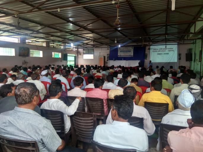 Washim district administration emphasizes on the cultivation of Horticulture | फळबाग लागवडीवर वाशिम जिल्हा प्रशासनाचा भर Washim district administration emphasizes on the cultivation of Horticulture | फळबाग लागवडीवर वाशिम जिल्हा प्रशासनाचा भर