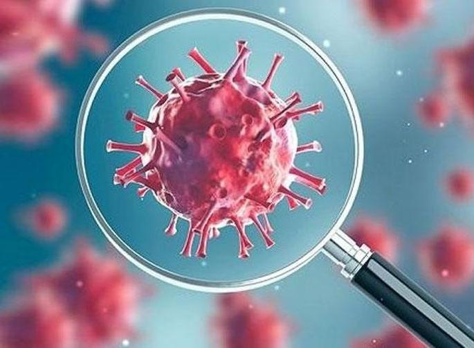 Coronavirus in Washim: 41 more corona positive; Total number of patients is 661 | Coronavirus in Washim : आणखी ४१ कोरोना पॉझिटिव्ह; एकूण रुग्णसंख्या ६६१ Coronavirus in Washim: 41 more corona positive; Total number of patients is 661 | Coronavirus in Washim : आणखी ४१ कोरोना पॉझिटिव्ह; एकूण रुग्णसंख्या ६६१