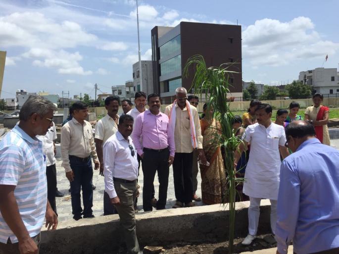 Launch of tree plantation campaign in Washim district | वाशिम जिल्ह्यात वृक्ष लागवड मोहिमेचा शुभारंभ