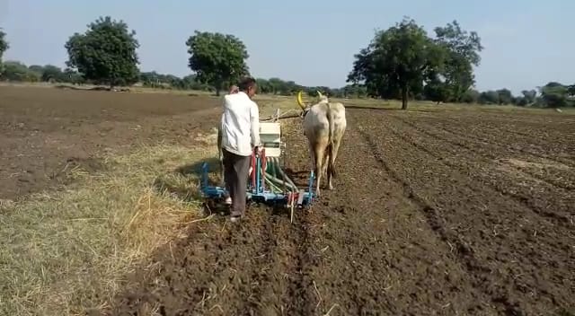 23% sowing of rabi crops in Washim district! | वाशिम जिल्ह्यात रब्बी पिकांची २३ टक्के पेरणी! 23% sowing of rabi crops in Washim district! | वाशिम जिल्ह्यात रब्बी पिकांची २३ टक्के पेरणी!