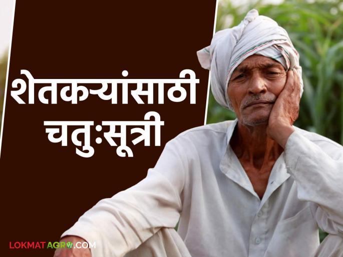 Farmers Suicide : Washim District Magistrate's four principles will be a new lifeline for farmers Read in detail | Farmers Suicide : वाशिमच्या जिल्हाधिकाऱ्यांची चतुःसूत्री शेतकऱ्यांसाठी ठरणार नवं संजीवनी वाचा सविस्तर Farmers Suicide : Washim District Magistrate's four principles will be a new lifeline for farmers Read in detail | Farmers Suicide : वाशिमच्या जिल्हाधिकाऱ्यांची चतुःसूत्री शेतकऱ्यांसाठी ठरणार नवं संजीवनी वाचा सविस्तर