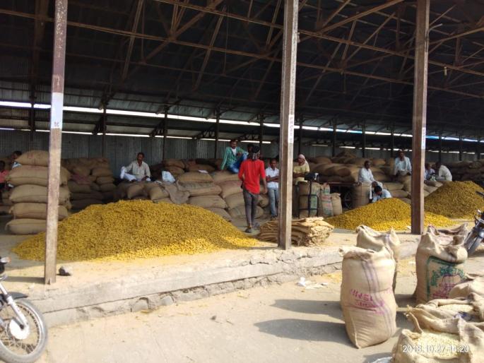 Turmeric crop get six thousand rate In the Washim market | वाशिमच्या बाजारात हळदीला सहा हजारांवर दर! Turmeric crop get six thousand rate In the Washim market | वाशिमच्या बाजारात हळदीला सहा हजारांवर दर!