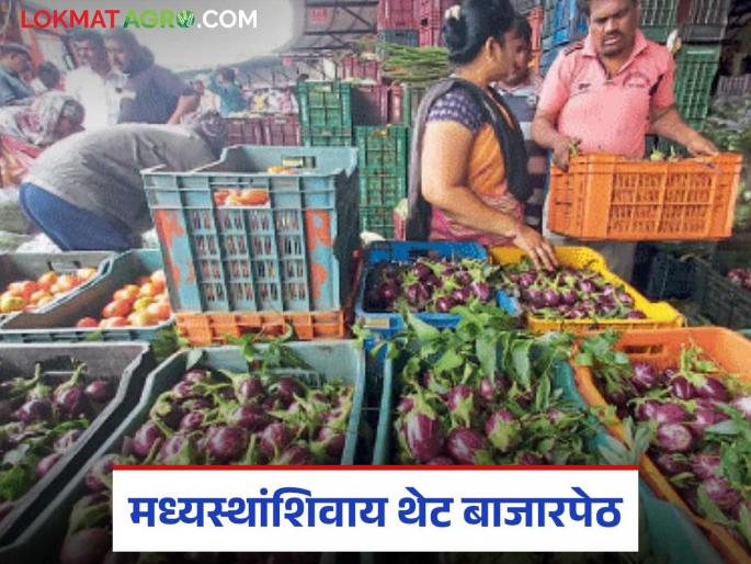 latest news Agriculture News: Farmers will get market price guarantee; Know what the initiative is in detail | Agriculture News: शेतमालाला मिळणार बाजारभावाची हमी; काय आहे उपक्रम जाणून घ्या सविस्तर