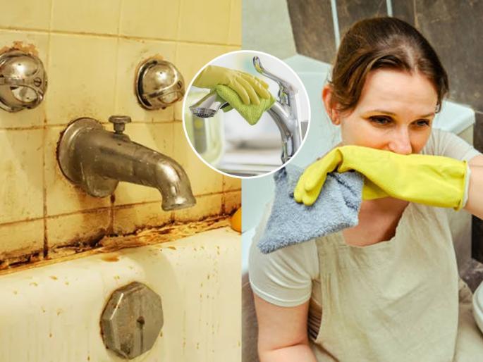 Is there a musty smell in the bathroom? No need to hold your nose anymore, try these 3 solutions | बाथरुममध्ये कुबट वास येतो ? नाक बंद करुन जायची आता गरज नाही, करा हे ३ उपाय