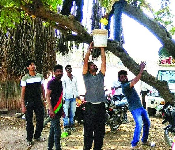 Celebrate the festival of festivals for animal husbandry: Message of 'Save the Birds' | पशुपक्ष्यांसाठी पाणवठे उभारून रंगोत्सव साजरा : ‘पक्षी वाचवा’चा संदेश Celebrate the festival of festivals for animal husbandry: Message of 'Save the Birds' | पशुपक्ष्यांसाठी पाणवठे उभारून रंगोत्सव साजरा : ‘पक्षी वाचवा’चा संदेश