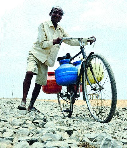 Man's facility, the animals are thirsty! | माणसांची झाली सोय, जनावरे तहानलेलीच ! Man's facility, the animals are thirsty! | माणसांची झाली सोय, जनावरे तहानलेलीच !