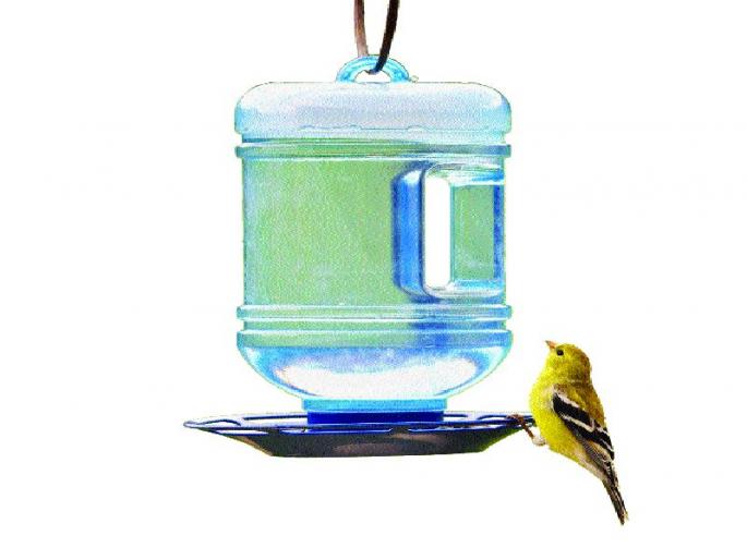 Poisonous animals in search of cold weather | थंडाव्याच्या शोधात मुक्या प्राण्यांची वणवण Poisonous animals in search of cold weather | थंडाव्याच्या शोधात मुक्या प्राण्यांची वणवण