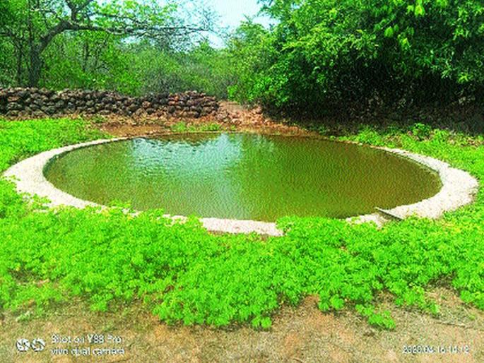 Abundant water in Phanasad Sanctuary; Artificial ponds for wildlife | फणसाड अभयारण्यात मुबलक पाणी; वन्यजीवांसाठी कृत्रिमतलाव Abundant water in Phanasad Sanctuary; Artificial ponds for wildlife | फणसाड अभयारण्यात मुबलक पाणी; वन्यजीवांसाठी कृत्रिमतलाव