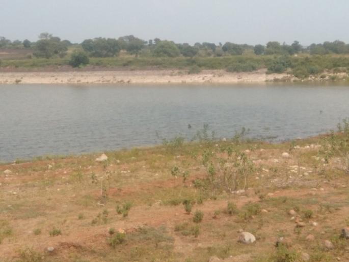 Dry forests in forest areas, fear of poisoning in summer | वनक्षेत्रातील पाणवठ्यांवर करडी नजर, उन्हाळ्यात विषप्रयोगाची भीती Dry forests in forest areas, fear of poisoning in summer | वनक्षेत्रातील पाणवठ्यांवर करडी नजर, उन्हाळ्यात विषप्रयोगाची भीती