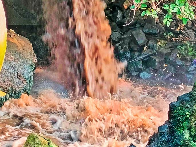 Dead fish waste in Mula-Mutha river basin; Water from Naidu Sewage Treatment Project discharged into the river without treatment | मुळा-मुठा नदी पात्रात मृत माशांचा खच; नायडू मैला शुद्धीकरण प्रकल्पाचे पाणी प्रक्रियेविना नदीत Dead fish waste in Mula-Mutha river basin; Water from Naidu Sewage Treatment Project discharged into the river without treatment | मुळा-मुठा नदी पात्रात मृत माशांचा खच; नायडू मैला शुद्धीकरण प्रकल्पाचे पाणी प्रक्रियेविना नदीत