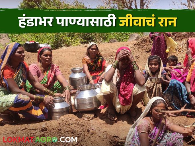 latest News Severe water shortage in Borpada village of Trimbakeshwar taluka | Water crisis : 'आधी लगीन पाण्याचं, मग आमच्या घरातलं', हंडाभर पाण्यासाठी जीवाचं रान करणाऱ्या महिला 