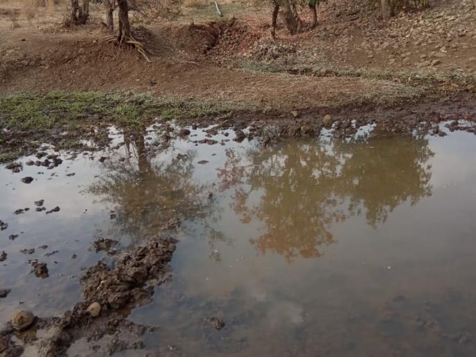 Farmers made water facility for wild animals | शेतकऱ्याने वन्यप्राण्यांसाठी केला पाणवठा Farmers made water facility for wild animals | शेतकऱ्याने वन्यप्राण्यांसाठी केला पाणवठा