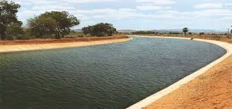 There is no reservation of water for agricultural irrigation this year | कृषी सिंचनासाठी पाण्याचे यंदा आरक्षण नाही