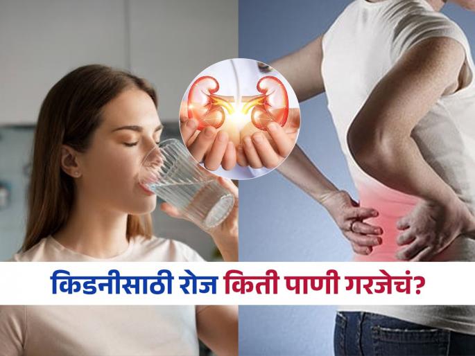 How much water is good for kidney health | १ की २ लीटर, किडनी फिट आणि निरोगी ठेवण्यासाठी रोज किती पाणी प्यावं? पाहा डॉक्टरांचं मत