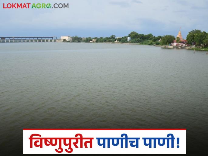 latest news Vishnupuri Dam: A gift of continuous rain; Water is only water in Vishnupuri project Read in detail | Vishnupuri Dam : संततधार पावसाची भेट; विष्णुपुरी प्रकल्पात पाणीच पाणी वाचा सविस्तर latest news Vishnupuri Dam: A gift of continuous rain; Water is only water in Vishnupuri project Read in detail | Vishnupuri Dam : संततधार पावसाची भेट; विष्णुपुरी प्रकल्पात पाणीच पाणी वाचा सविस्तर