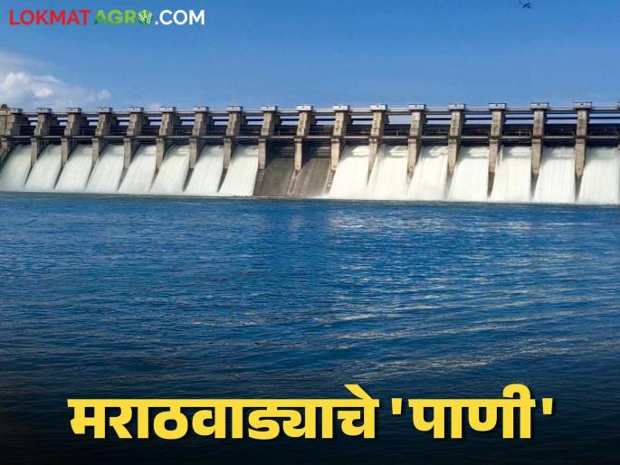 Jaykwadi Dam Water: Do not accept the crooked report of cutting 'Marathwada water'! Read in detail | Jaykwadi Dam Water : 'मराठवाड्याचे पाणी' कापण्याचा कुटिल अहवाल स्वीकारू नका! वाचा सविस्तर Jaykwadi Dam Water: Do not accept the crooked report of cutting 'Marathwada water'! Read in detail | Jaykwadi Dam Water : 'मराठवाड्याचे पाणी' कापण्याचा कुटिल अहवाल स्वीकारू नका! वाचा सविस्तर