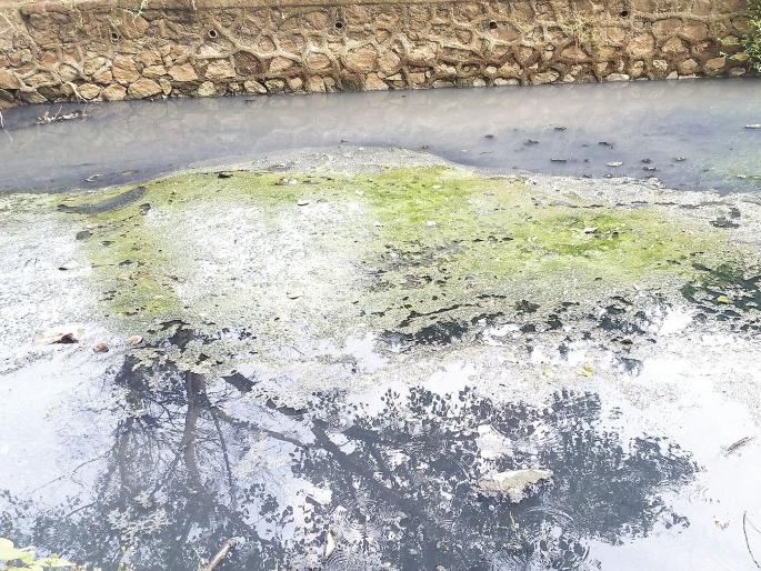 Contaminated water in industrial estates in the bay; In the fishing crisis | औद्योगिक वसाहतींंतील दूषित पाणी खाडीत; मासेमारी संकटात Contaminated water in industrial estates in the bay; In the fishing crisis | औद्योगिक वसाहतींंतील दूषित पाणी खाडीत; मासेमारी संकटात