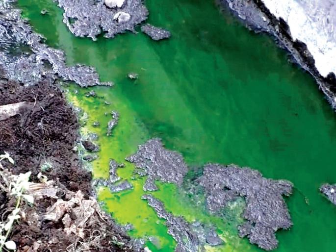 Pollution control board; The tragedy continues | प्रदूषण नियंत्रण मंडळ ढिम्मच; दर्पाचा त्रास सुरूच Pollution control board; The tragedy continues | प्रदूषण नियंत्रण मंडळ ढिम्मच; दर्पाचा त्रास सुरूच