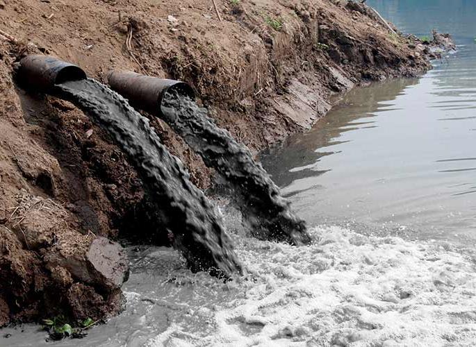 River: 1182 crore scheme to prevent pollution in five rivers in Maharashtra, including these rivers | River: महाराष्ट्रातील पाच नद्यांतील प्रदूषण रोखण्यासाठी ११८२ कोटींची योजना, या नद्यांचा समावेश
