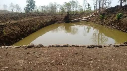 Water-based Shivar campaign's departmental award for Sugar village in Washim district! | वाशिम जिल्ह्यातील साखरा गावाला जलयुक्त शिवार अभियानाचा विभागस्तरीय पुरस्कार! Water-based Shivar campaign's departmental award for Sugar village in Washim district! | वाशिम जिल्ह्यातील साखरा गावाला जलयुक्त शिवार अभियानाचा विभागस्तरीय पुरस्कार!