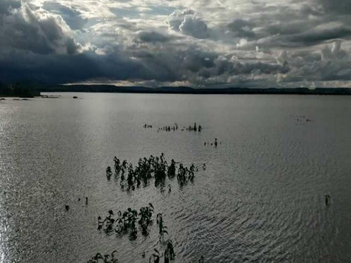 Heavy rains overflow 45 out of 64 projects in Jalna district | दमदार पावसाने जालना जिल्ह्यातील ६४ पैकी ४५ प्रकल्प ओव्हरफ्लो Heavy rains overflow 45 out of 64 projects in Jalna district | दमदार पावसाने जालना जिल्ह्यातील ६४ पैकी ४५ प्रकल्प ओव्हरफ्लो