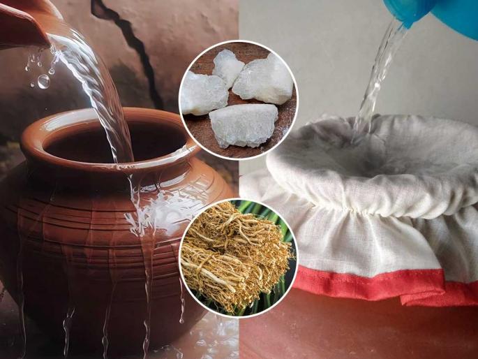 Water can be purified even without a filter - 4 traditional methods, cheap and very easy to do | फिल्टरशिवायही पाणी करता येते शुद्ध - ४ पारंपरिक पद्धती, स्वस्त आणि करायला अगदी सोप्या Water can be purified even without a filter - 4 traditional methods, cheap and very easy to do | फिल्टरशिवायही पाणी करता येते शुद्ध - ४ पारंपरिक पद्धती, स्वस्त आणि करायला अगदी सोप्या
