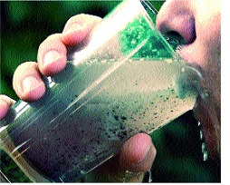 Notice to 2 Gram Panchayats in the district | जिल्ह्यातील ४८ ग्रामपंचायतींना नोटिसा Notice to 2 Gram Panchayats in the district | जिल्ह्यातील ४८ ग्रामपंचायतींना नोटिसा