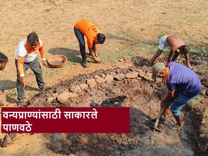 Latest News Watersheds designed for wildlife in nashik district on drought situation | Water Scarcity : पाणी जपायला हवं... तहानलेल्या वन्यजीव प्राण्यांसाठी साकारले पाणवठे Latest News Watersheds designed for wildlife in nashik district on drought situation | Water Scarcity : पाणी जपायला हवं... तहानलेल्या वन्यजीव प्राण्यांसाठी साकारले पाणवठे