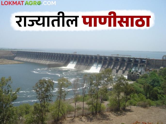 Maharashtra Water Storage : How much water storage is there in which division of the state this year compared to last year? | Maharashtra Water Storage : मागील वर्षीच्या तुलनेत यंदा राज्यातील कोणत्या विभागात किती पाणीसाठा? Maharashtra Water Storage : How much water storage is there in which division of the state this year compared to last year? | Maharashtra Water Storage : मागील वर्षीच्या तुलनेत यंदा राज्यातील कोणत्या विभागात किती पाणीसाठा?